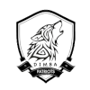 Dimba Patriots
