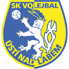 SKV Usti nad Labem
