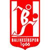 Balıkesirspor U19
