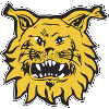 Tampereen Ilves II