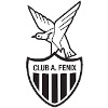 CA Fenix Pilar II