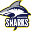 B. Braun Sheffield Sharks