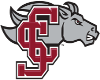 Santa Clara Broncos (Women)