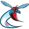 Delaware State Hornets (Women)