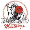 Maitland Mustangs (Women)