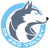 OK PRO Volley
