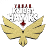 Vegas Night Hawks
