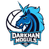Darkhan Moguls