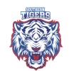 Johor Southern Tigers