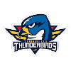 Springfield Thunderbirds