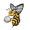 Voleibol Astillero (Women)
