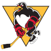 Wilkes-Barre Scranton Penguins