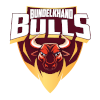 Bundelkhand Bulls