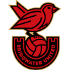 Bridgwater United (Women)