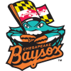 Chesapeake Baysox