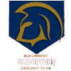 Bucharest Gladiators