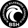 Bjerringbro-Silkeborg
