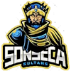 Sonseca Sultans