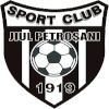 Jiul Petrosani