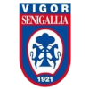 US Vigor Senigallia