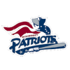 Somerset Patriots