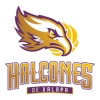 Halcones de Xalapa