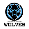 Winston Salem Wolves