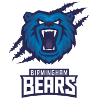 Birmingham Bears (Women)