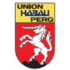 DSG Union Perg