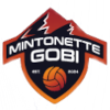 Mintonette Gobi
