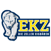 Zeller Eisbaren