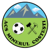 Minerul Costesti