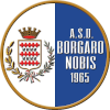 Borgaro