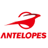 Toyota Antelopes (Women)