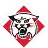 Davidson Wildcats
